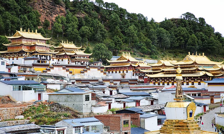 Gold-roofed monastery buildings in Langmusi
