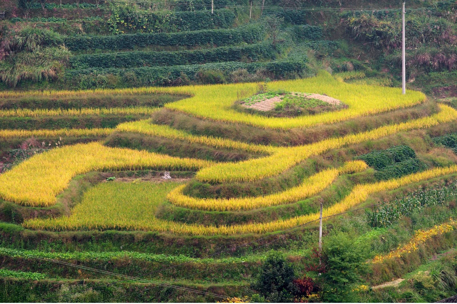 Guilin Longji Rice Terraces & Minority Village Private Day Tour