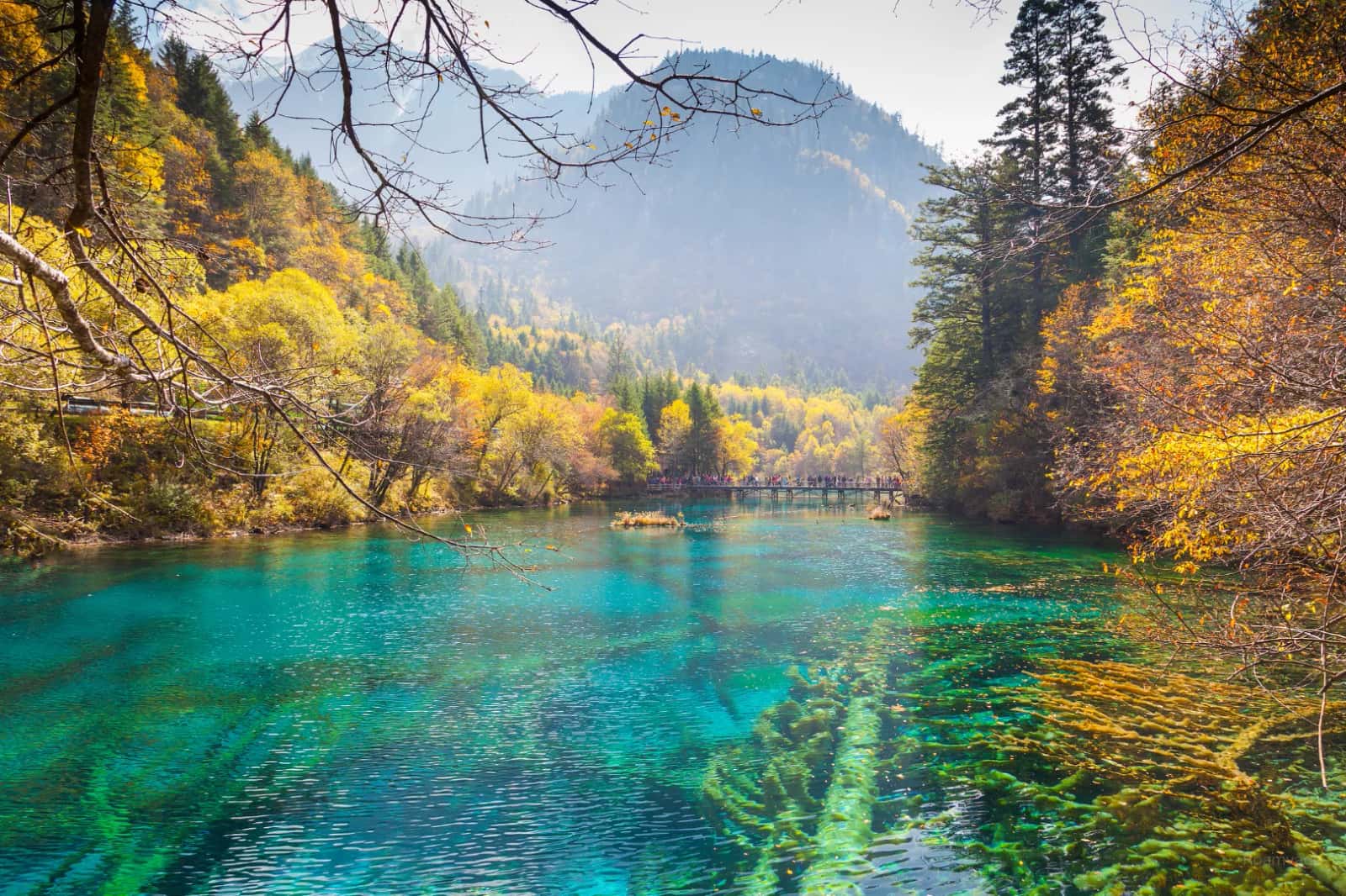 Chengdu to Jiuzhaigou & Huanglong 3-Day Private Tour